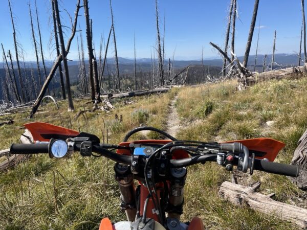 Doubletake Trail Mirror